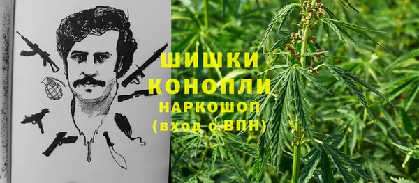 скорость Алзамай