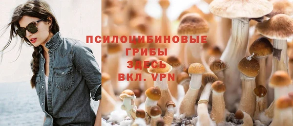 скорость Алзамай